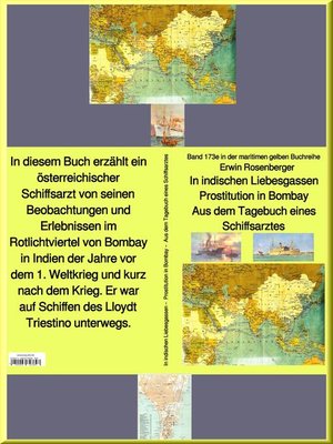 cover image of Erwin Rosenberger